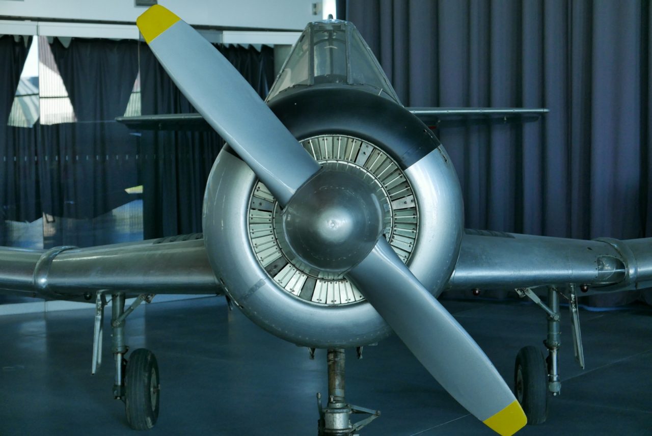 MLP 08